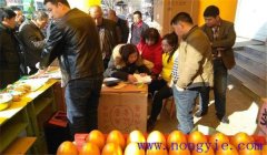 選購種子應(yīng)該注意什么 購買種子注意事項(xiàng)