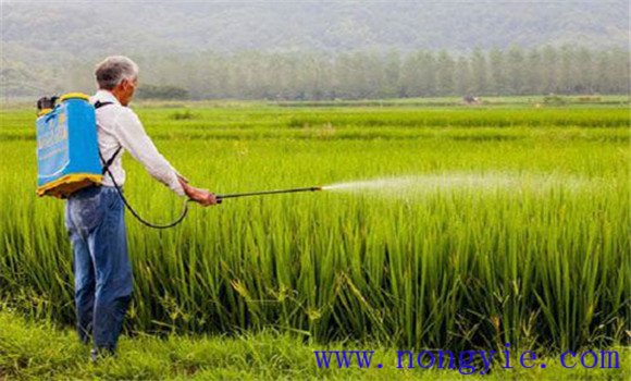 旱育保姆包底劑的使用技術要點