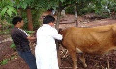 ?？谔阋叩闹委煼椒ā⒂惺裁此幹委? /></a>
            <a href=