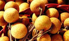 龍眼什么時(shí)候成熟？那些人群不能吃龍眼