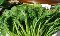 茼蒿種植技術(shù)要點,如何種植茼蒿