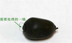 碗蓮的種植方法帶圖，碗蓮的種植方法與技術(shù)