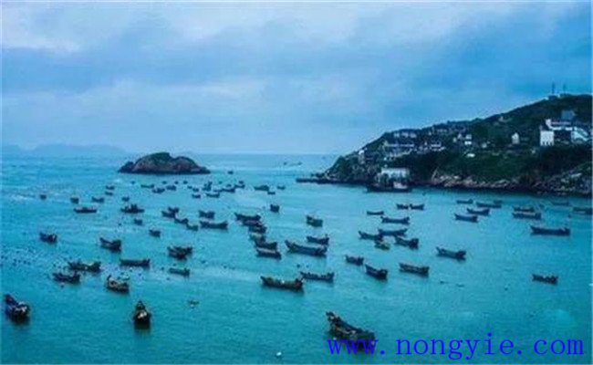 舟山漁場的漁業(yè)資源