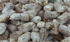 食用菌菌糠的營(yíng)養(yǎng)成分、用途與再利用前景分析