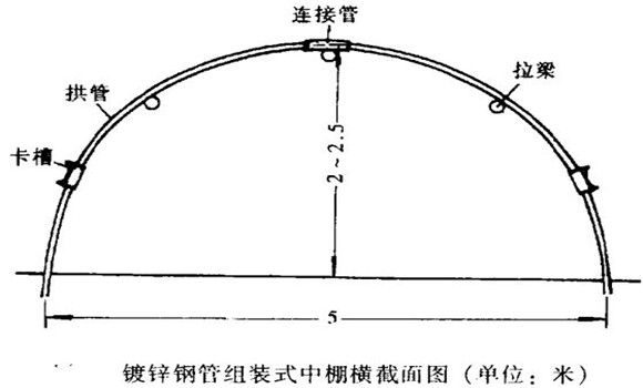 塑料中棚加外覆蓋能明顯使蔬菜早熟，效益高