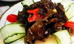 黑木耳種植方法，黑木耳如何種植