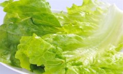 生菜的營養(yǎng)成分，生菜的營養(yǎng)價值及功效有哪些