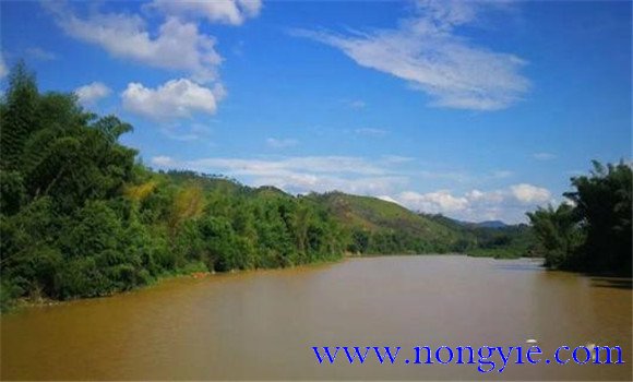 長(zhǎng)江魚(yú)苗有哪些專用術(shù)語(yǔ)