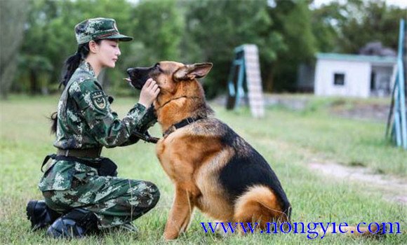 循序漸進(jìn)，由易到難的原則