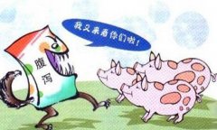 豬流行性腹瀉怎么治療、預(yù)防與防治要點(diǎn)有哪些