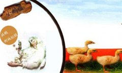 小鵝瘟癥狀有哪些，治療與防治措施簡介