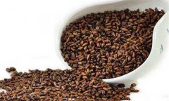 決明子的功效與作用,決明子的藥用功效有哪些