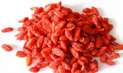 枸杞子的作用與功效,枸杞子的購買與儲存指南