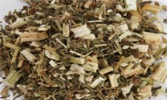 益母草的功效與作用 益母草的營(yíng)養(yǎng)功效