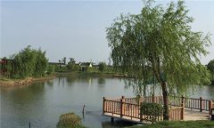 不同魚種塘的投飼、施肥方法是什么？