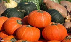 南瓜的種類有多少種、有什么特點(diǎn)