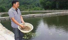 魚塘如何施肥？魚塘施肥技術(shù)的三個(gè)要點(diǎn)