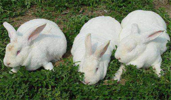 保證運動、多曬太陽