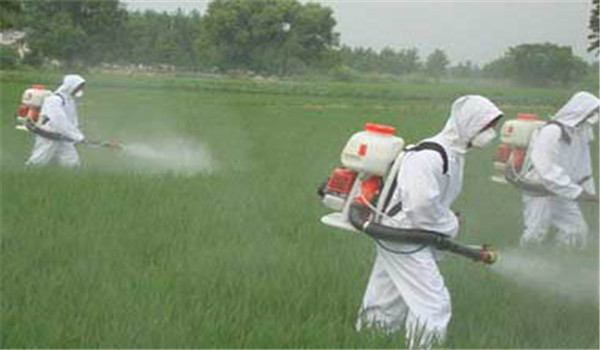 有機(jī)農(nóng)藥的常見(jiàn)分類(lèi)