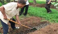 有機(jī)肥料的種類、特點(diǎn)與作用