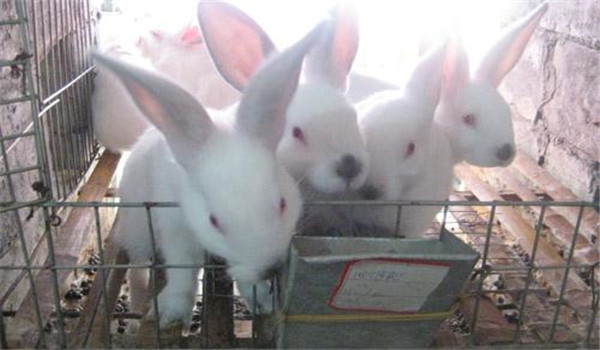 日根配合不合理、記錄不當(dāng)