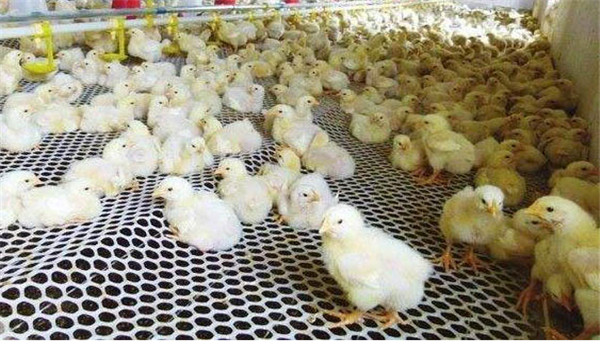 控制好溫、濕度