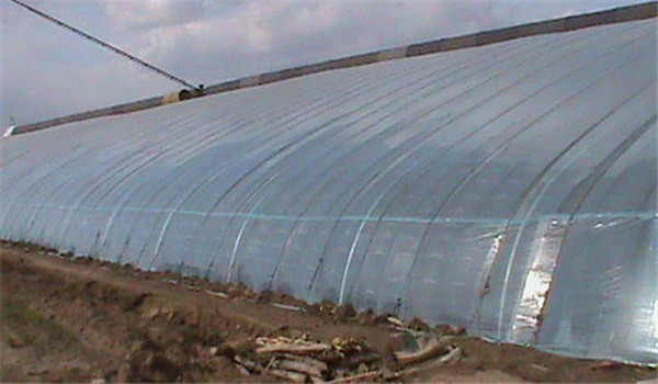 播種后到開始出苗的管理