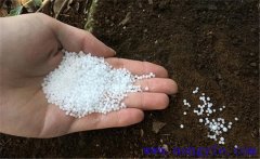 用尿素喂牛的方法,尿素喂牛應(yīng)注意的問題