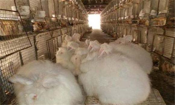 飼料要搭配、交換