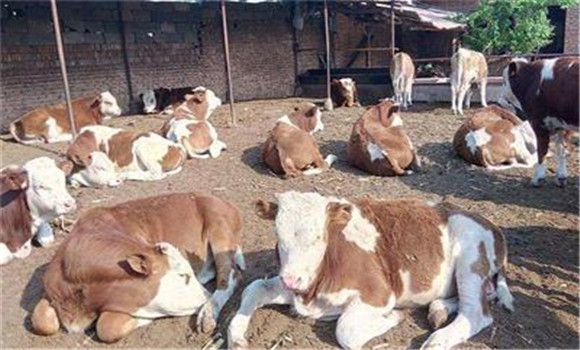 ?？袢〉牧餍刑攸c