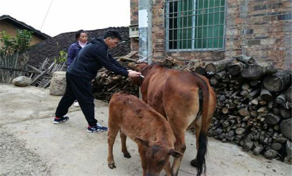 ?？袢≡\療失誤產生的原因