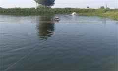 蟹苗怎么培育 蟹苗養(yǎng)殖技術(shù)與方法、步驟