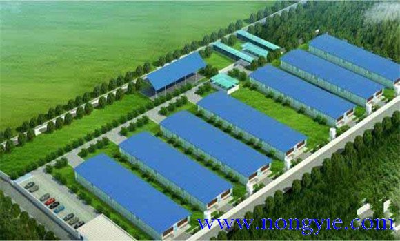 規(guī)?；B(yǎng)豬場選址要適當