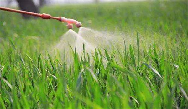 農(nóng)藥混合使用時應注意哪些問題