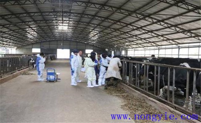 定期進(jìn)行預(yù)防接種、檢疫