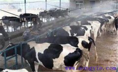 通風(fēng)對(duì)奶牛產(chǎn)奶與健康有什么影響？