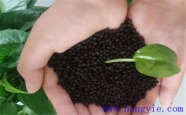 顆粒有機肥燒根嗎？