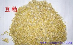 怎樣用豆粕喂牛，豆粕和豆餅喂牛效果一樣嗎？