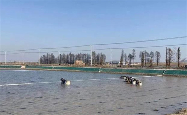 青蟹養(yǎng)殖技術與管理