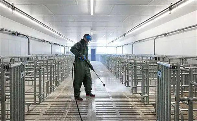 豬場(chǎng)常用消毒劑的類(lèi)型與使用方法