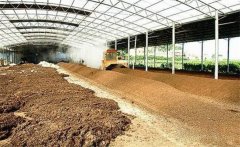 雞糞喂豬的可行性研究，幾種雞糞喂豬的方法