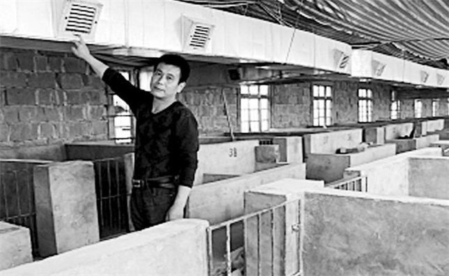 已使用過的豬圈、豬舍消毒方法