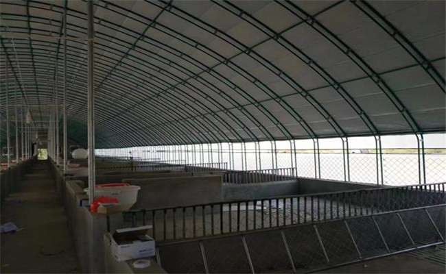 塑膜暖圈的建設(shè)方法，塑膜暖圈養(yǎng)豬的優(yōu)點(diǎn)