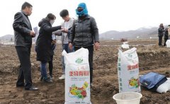 種豆角用什么做底肥，豆角如何追肥？