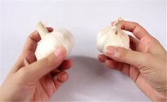 怎樣種植大蒜？大蒜栽培技術(shù)十大要點(diǎn)