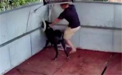 公羊頂人是什么原因引起的，公羊頂人怎么辦？