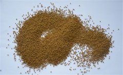 泥鰍的飼料以什么為主？養(yǎng)殖泥鰍的飼料建議配