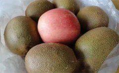 獼猴桃怎么催熟,獼猴桃不能和什么一起吃