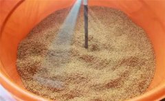 溫湯浸種方法與時(shí)間，溫湯浸種的溫度是多少？