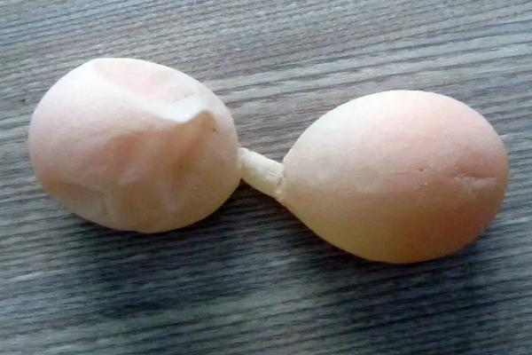 雞下軟蛋怎么辦、如何防治